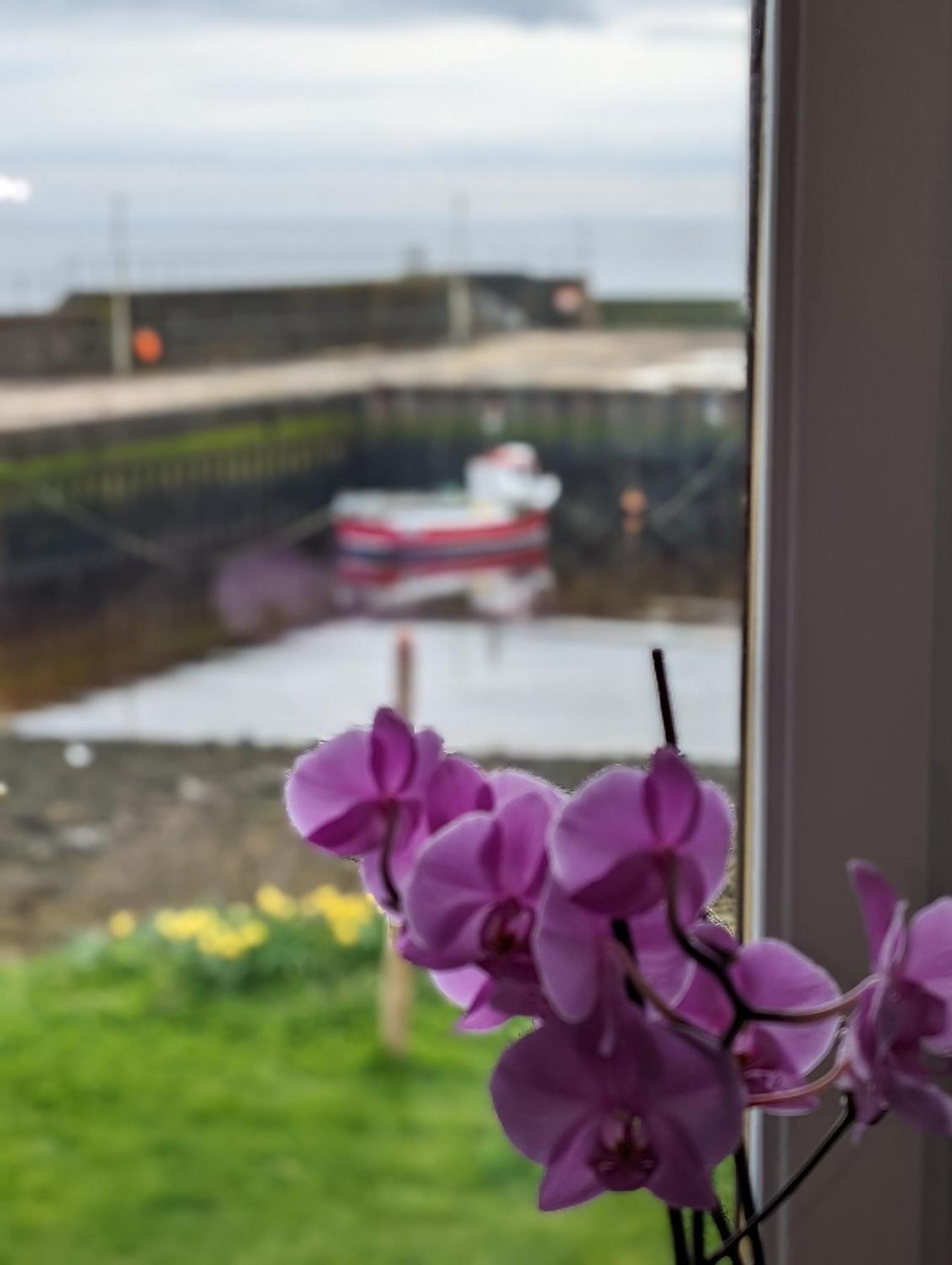 Sea Song, Selkie House Bed and Breakfast Helmsdale Eksteriør billede