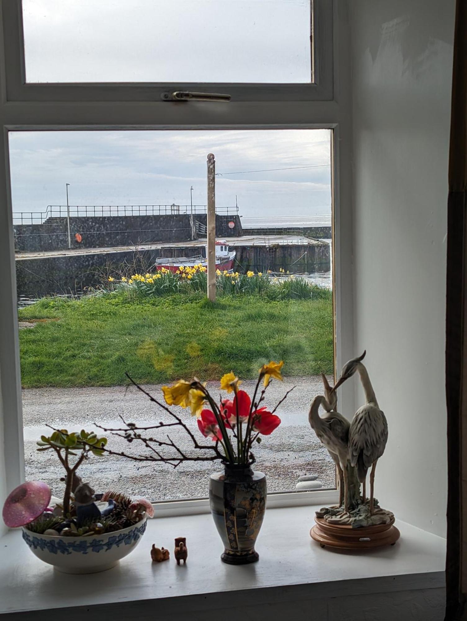 Sea Song, Selkie House Bed and Breakfast Helmsdale Eksteriør billede